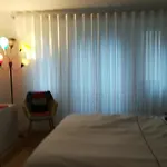 Lovely Flat On The Seine River