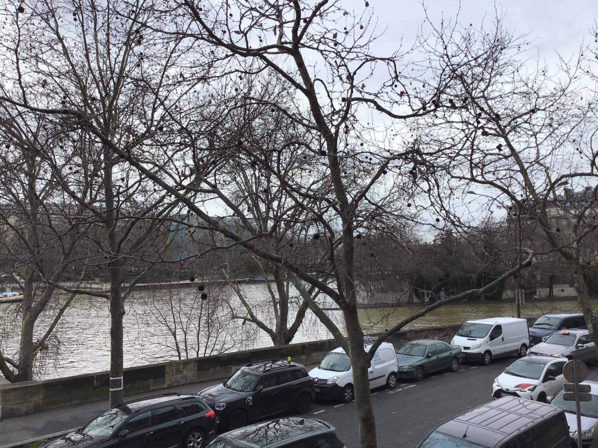 Lovely Flat On The Seine River Paris